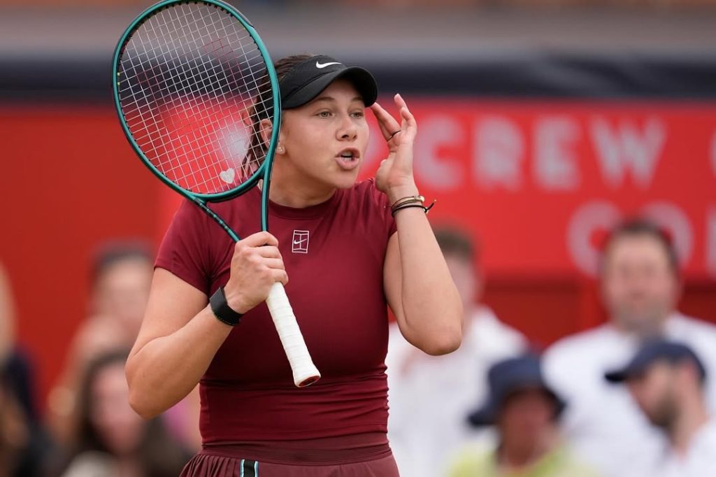 Amanda Anisimova Wikipedia